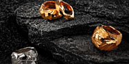 stilllife_picc